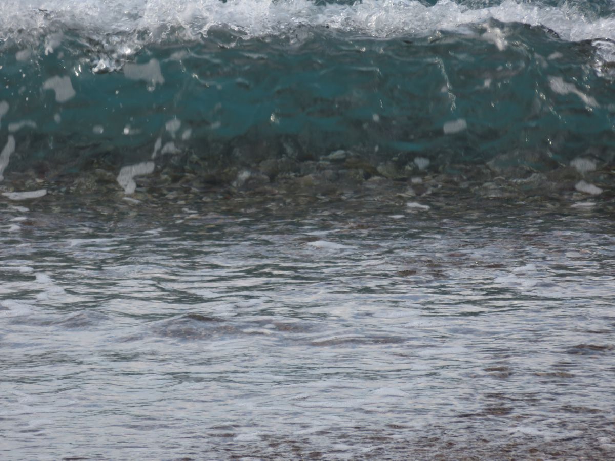 imagini hotel Starlight Resort